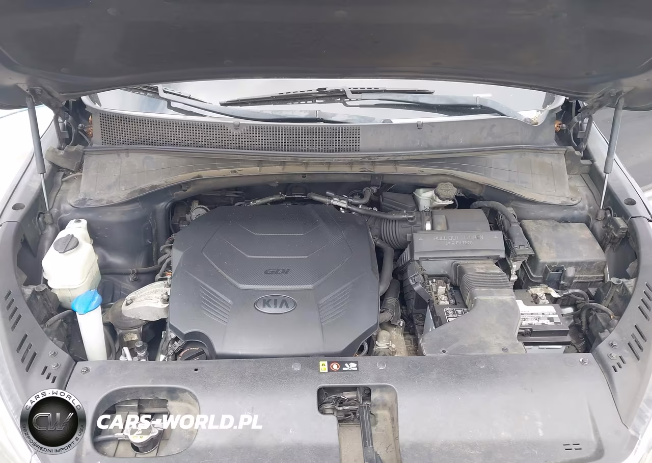 2019 Kia Sorento 3.3L Sxl VIN:5XYPK4A5XKG450844 - 10