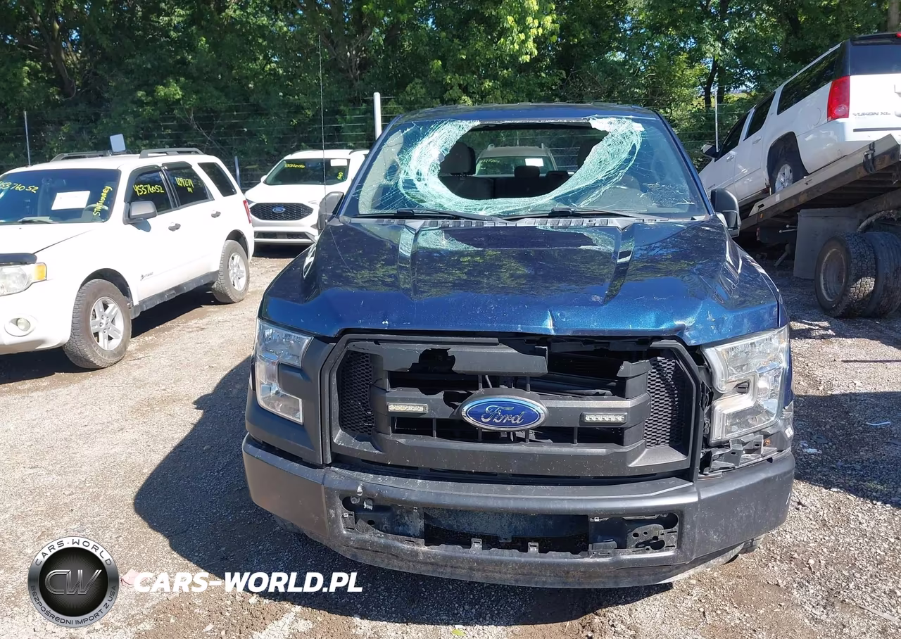 2016 Ford F-150 Xl VIN:1FTEX1CF2GFC57370 - 12