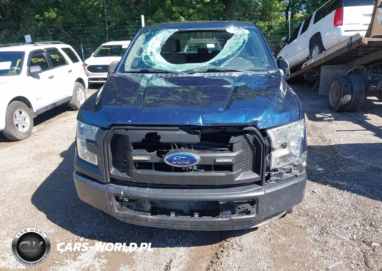2016 Ford F-150 Xl VIN:1FTEX1CF2GFC57370 - 6