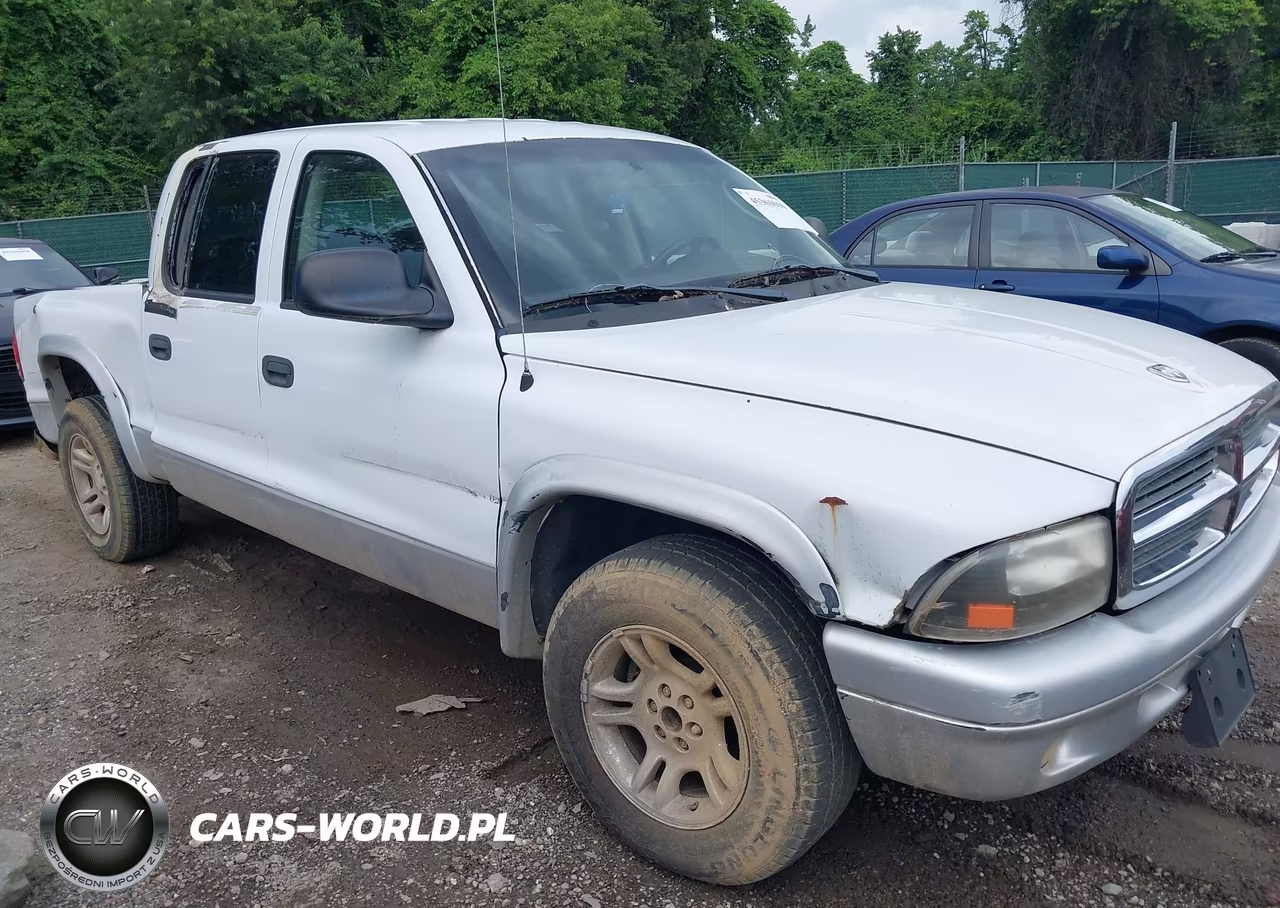 2004 Dodge Dakota Slt VIN:1D7HL48NX4S682516 - 13