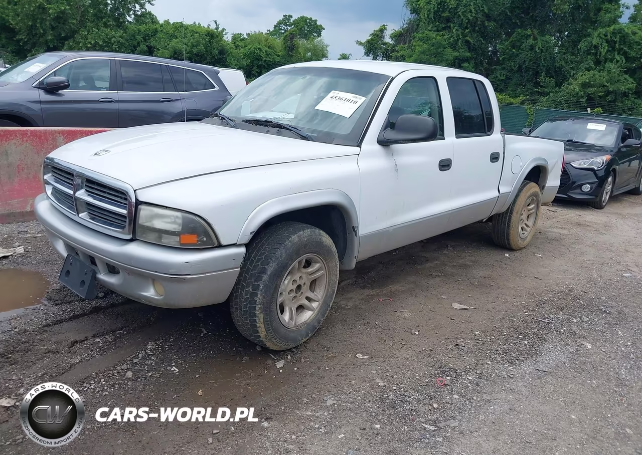 2004 Dodge Dakota Slt VIN:1D7HL48NX4S682516 - 2