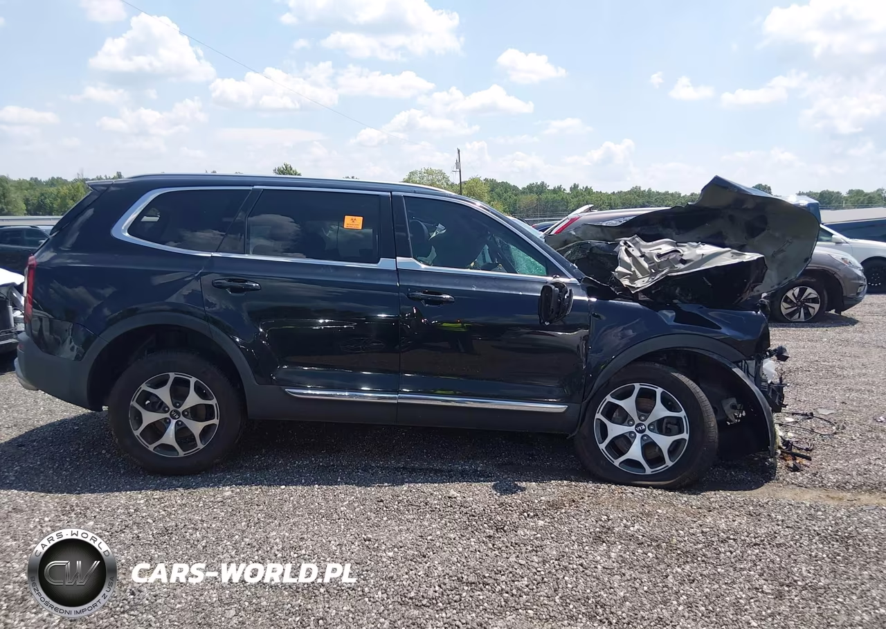 2020 Kia Telluride Ex VIN:5XYP3DHC7LG001947 - 12