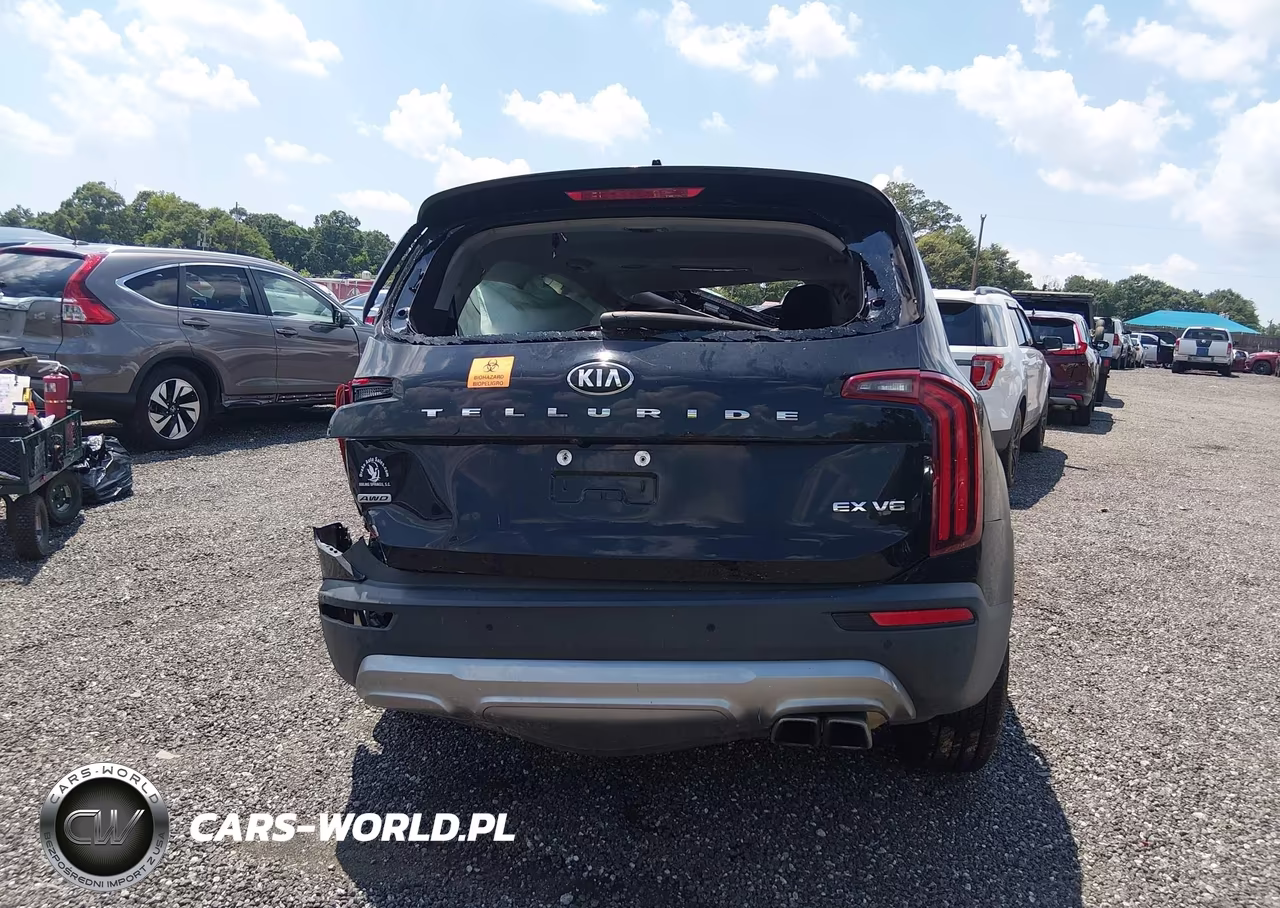 2020 Kia Telluride Ex VIN:5XYP3DHC7LG001947 - 15