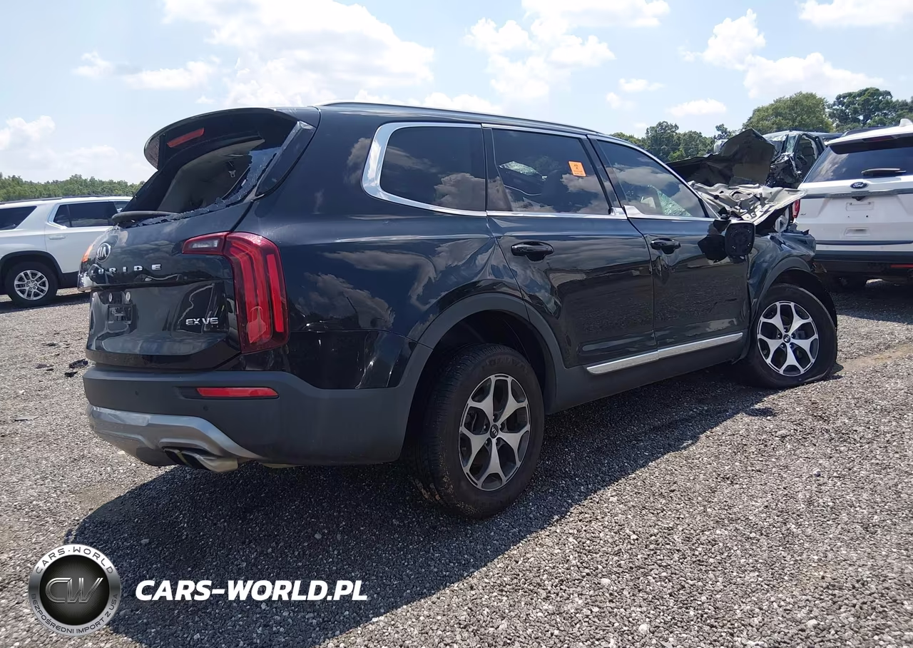 2020 Kia Telluride Ex VIN:5XYP3DHC7LG001947 - 4