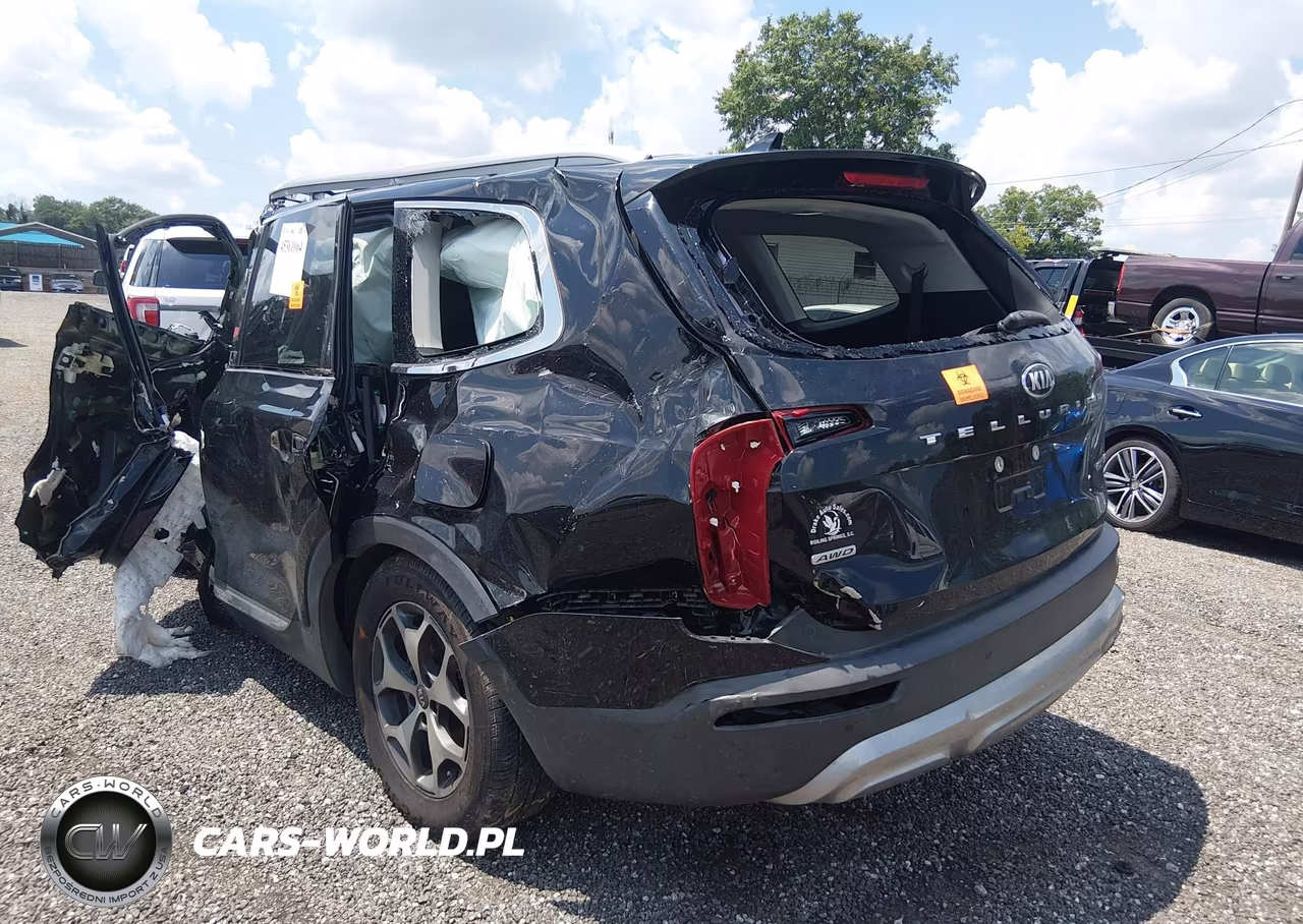 2020 Kia Telluride Ex VIN:5XYP3DHC7LG001947 - 6