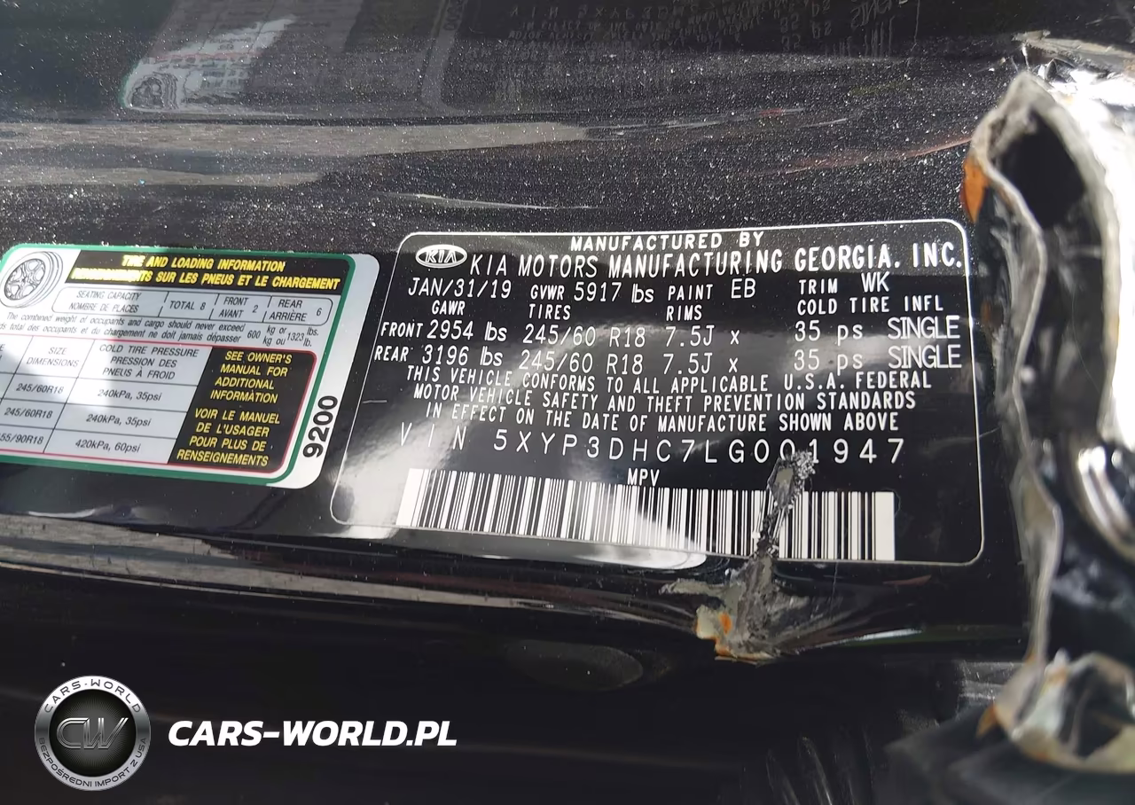 2020 Kia Telluride Ex VIN:5XYP3DHC7LG001947 - 9