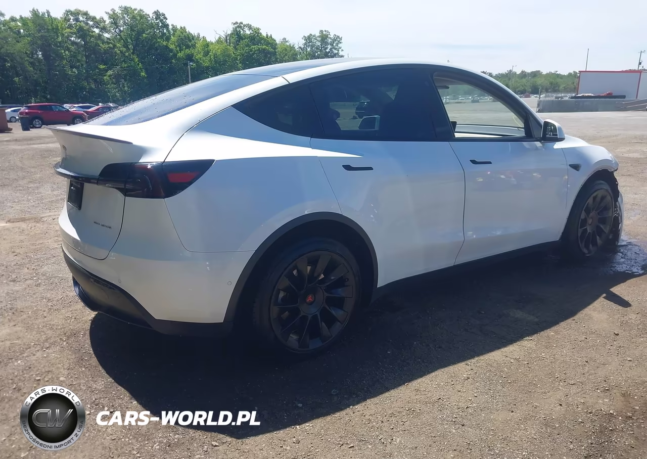 2020 Tesla Model Y Long Range Dual Motor All-Wheel Drive VIN:5YJYGDEE7LF039880 - 4