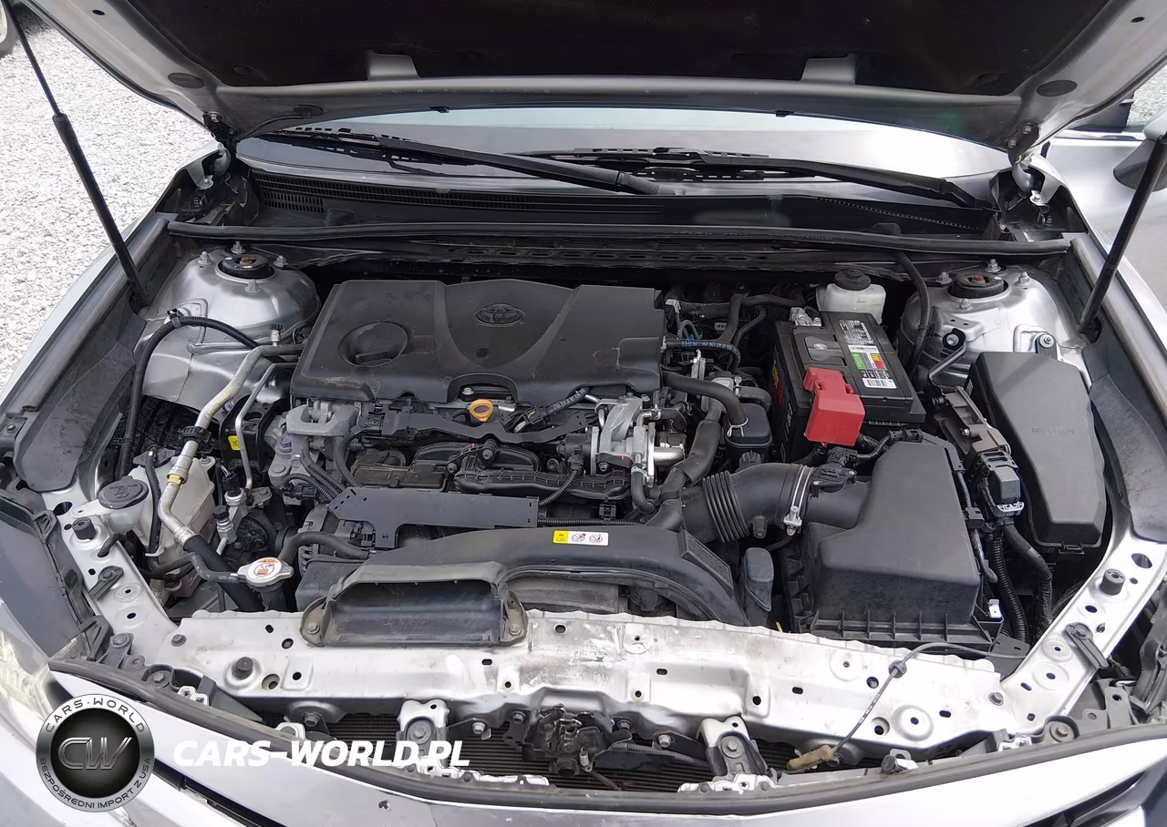 2019 Toyota Camry Le VIN:4T1B11HKXKU809210 - 10