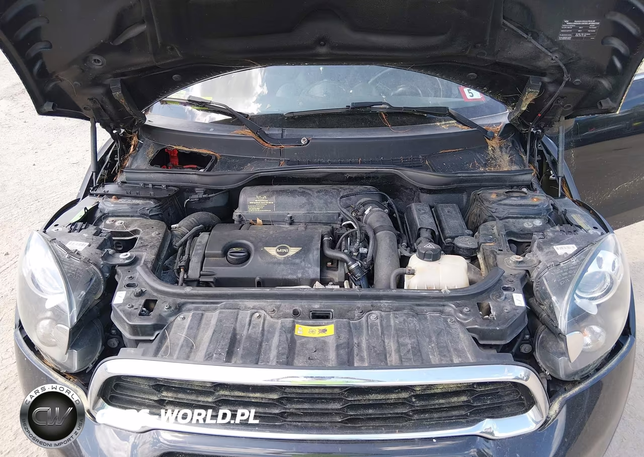2013 Mini Paceman Cooper S VIN:WMWSS7C54DWN52037 - 10