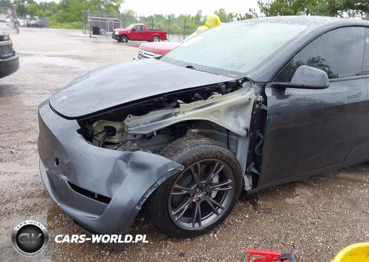 2024 Tesla Model Y Long Range Dual Motor All-Wheel Drive VIN:7SAYGDEE5RF161052 - 19