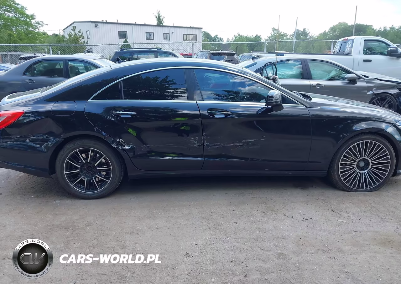 2014 Mercedes-Benz Cls 550 VIN:WDDLJ7DBXEA094359 - 13