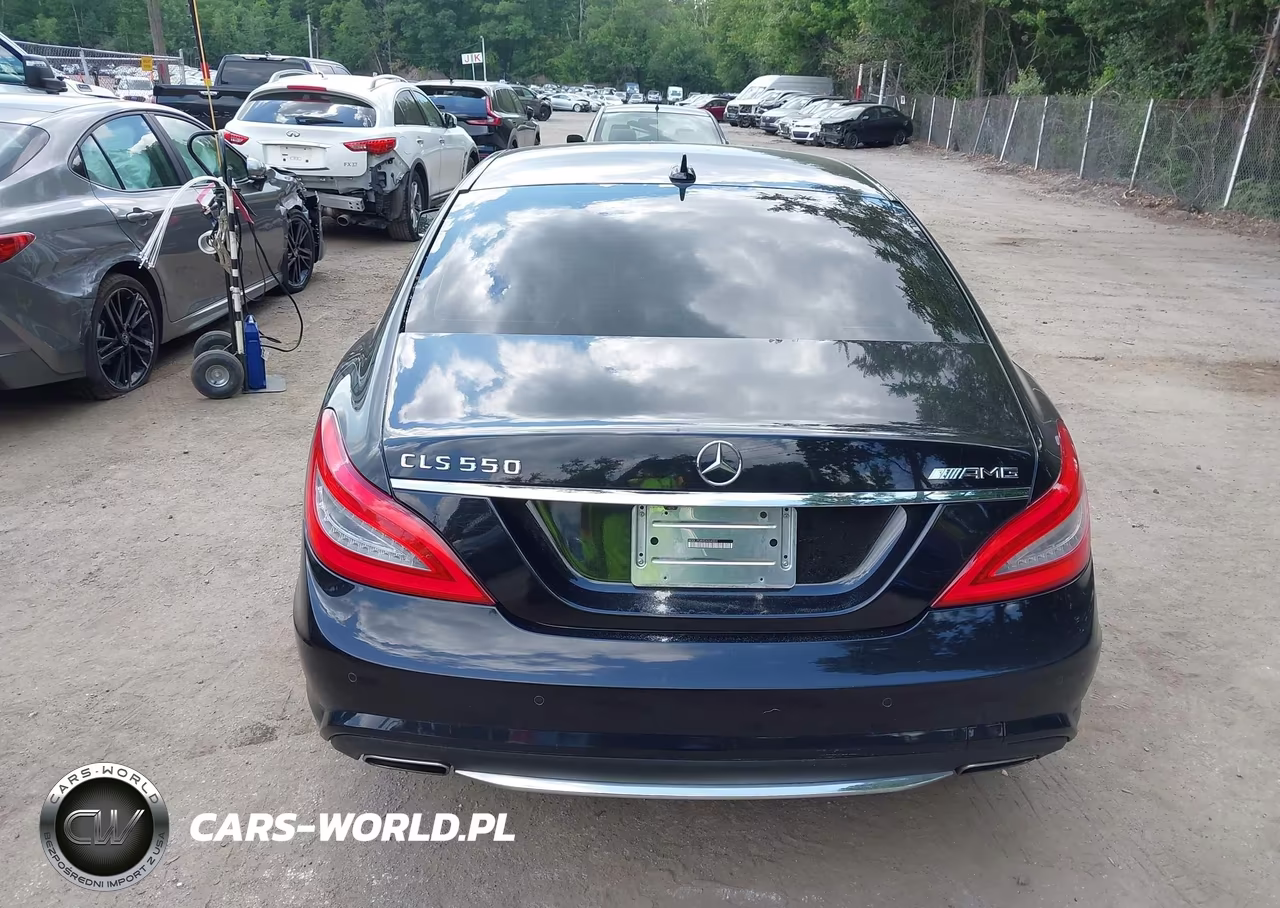 2014 Mercedes-Benz Cls 550 VIN:WDDLJ7DBXEA094359 - 16