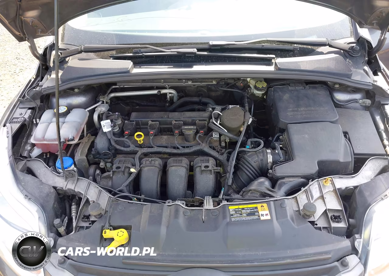 2014 Ford Focus Se VIN:1FADP3K2XEL127444 - 10