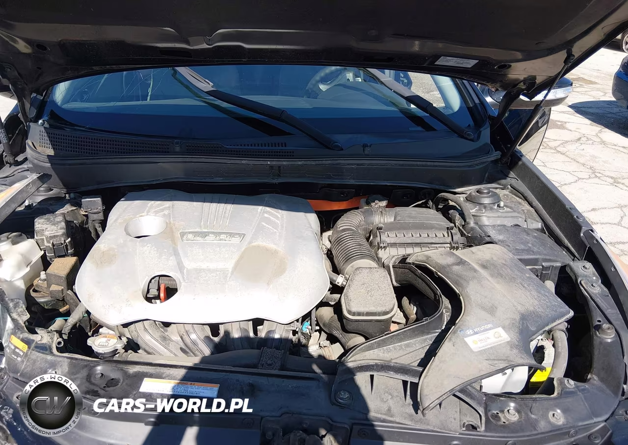 2015 Hyundai Sonata Hybrid VIN:KMHEC4A4XFA121185 - 10