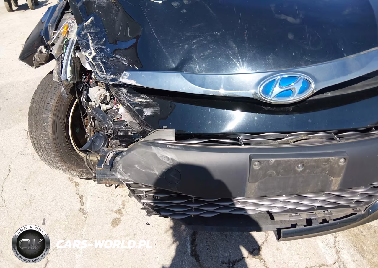2015 Hyundai Sonata Hybrid VIN:KMHEC4A4XFA121185 - 6