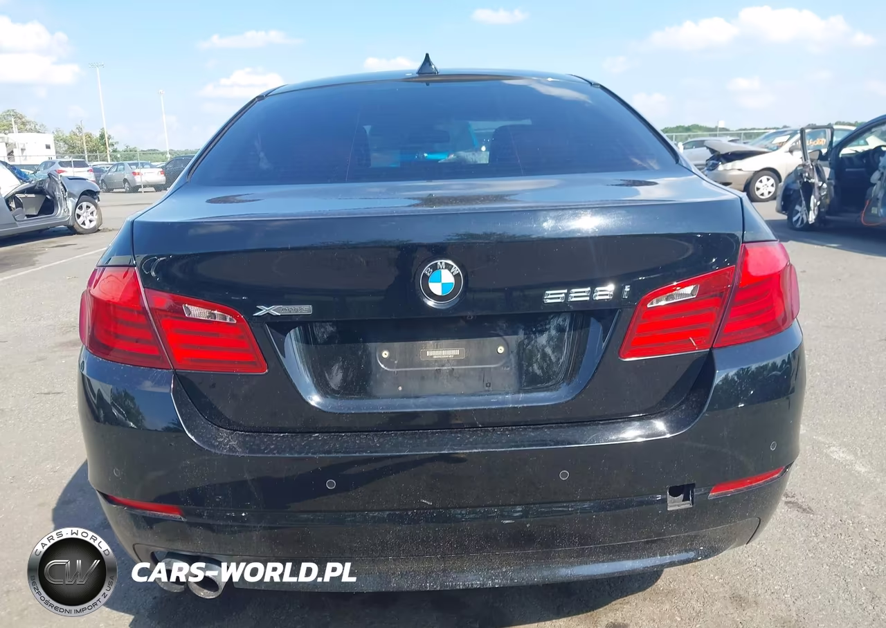 2013 BMW 528I xDrive VIN:WBAXH5C53DDW14810 - 16