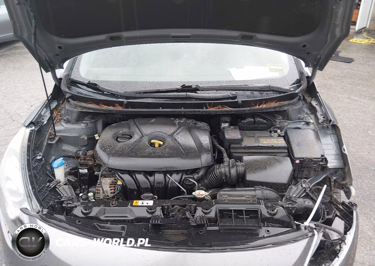 2017 Hyundai Elantra Gt VIN:KMHD35LH2HU363634 - 10
