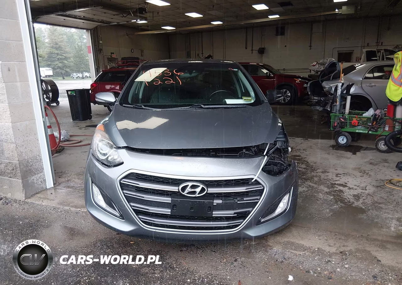 2017 Hyundai Elantra Gt VIN:KMHD35LH2HU363634 - 13