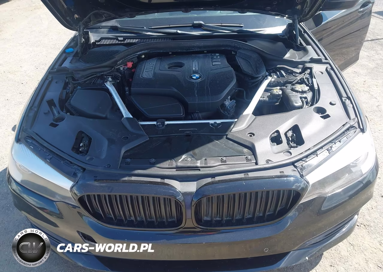 2019 BMW 530I xDrive VIN:WBAJA7C57KWW26756 - 10