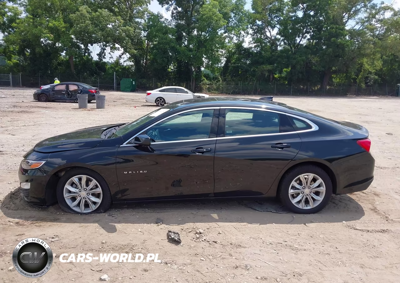 2024 Chevrolet Malibu Fwd 1Lt VIN:1G1ZD5ST1RF144899 - 14