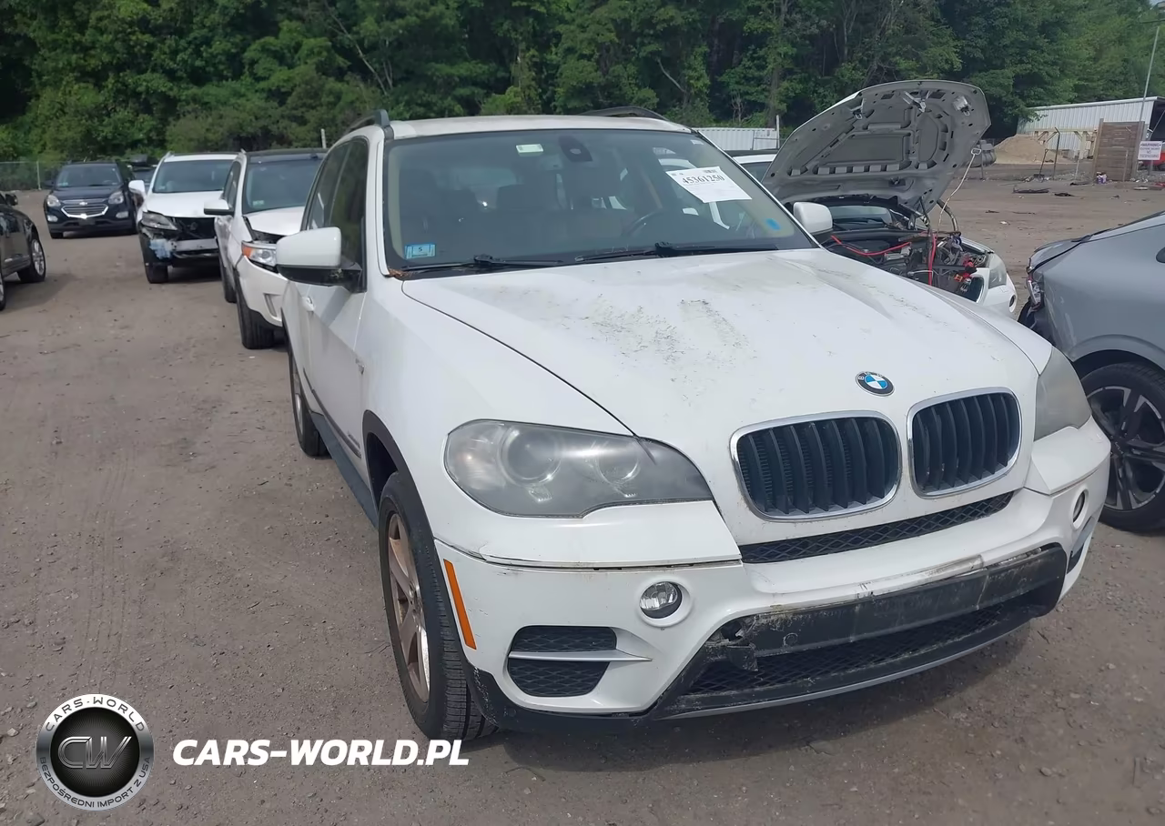 2012 BMW X5 xDrive35I-xDrive35I Premium-xDrive35I Sport Activity – zdjęcie 1 z 11