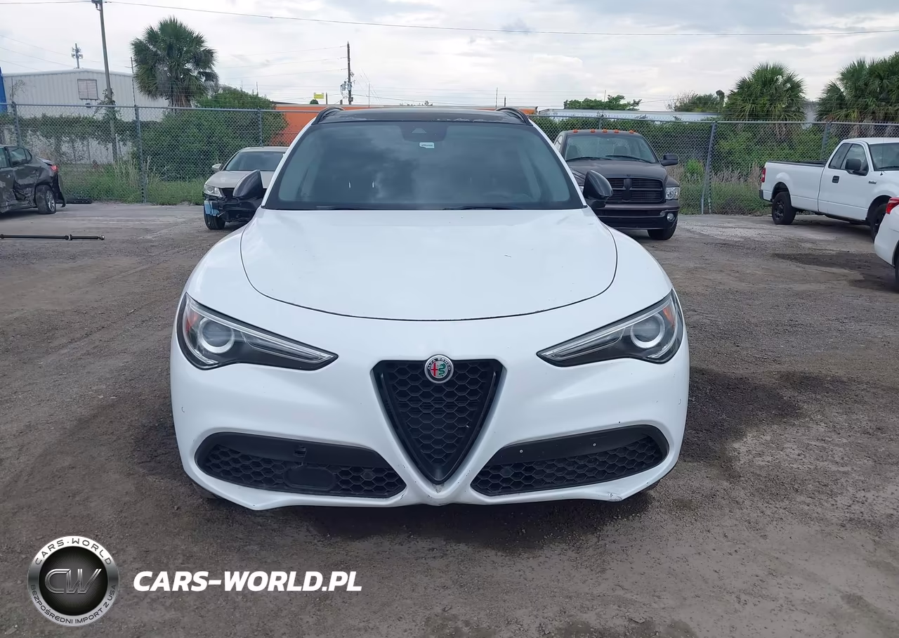 2019 Alfa Romeo Stelvio Sport Rwd VIN:ZASPAJAN4K7C36860 - 12