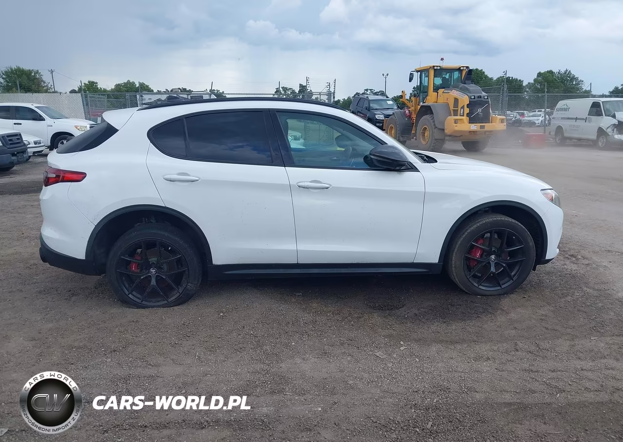 2019 Alfa Romeo Stelvio Sport Rwd VIN:ZASPAJAN4K7C36860 - 13