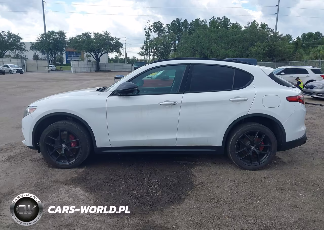 2019 Alfa Romeo Stelvio Sport Rwd VIN:ZASPAJAN4K7C36860 - 14