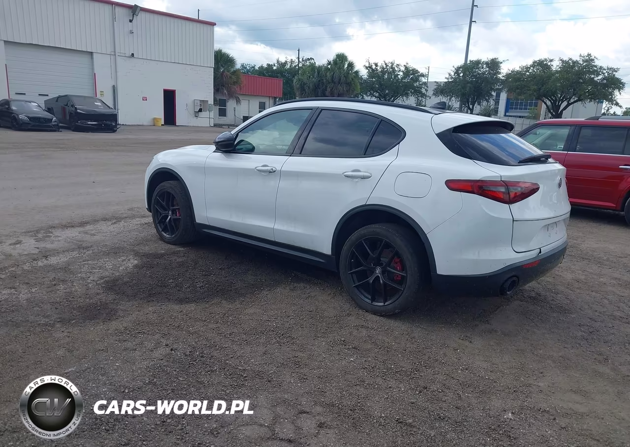 2019 Alfa Romeo Stelvio Sport Rwd VIN:ZASPAJAN4K7C36860 - 3