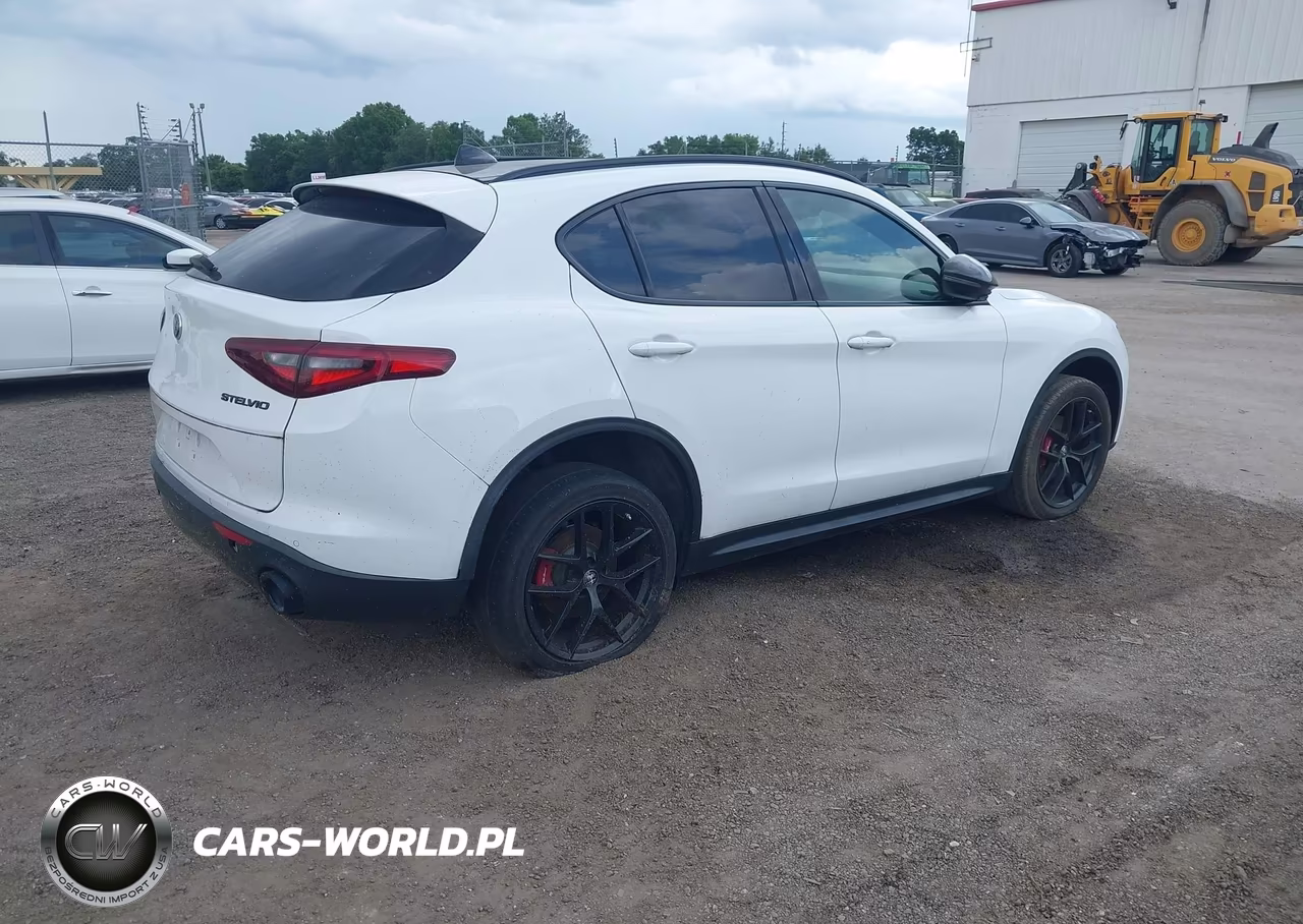 2019 Alfa Romeo Stelvio Sport Rwd VIN:ZASPAJAN4K7C36860 - 4