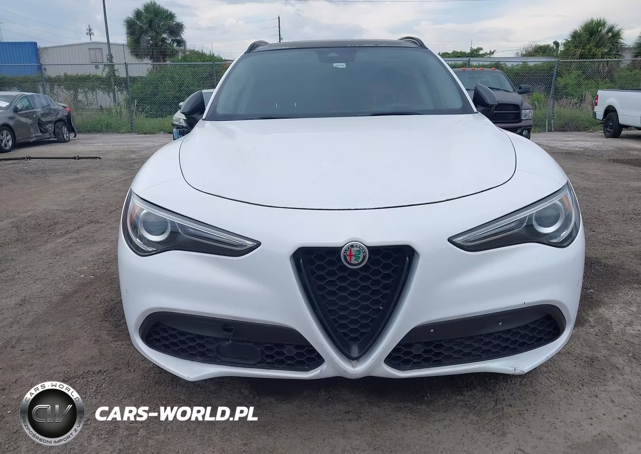 2019 Alfa Romeo Stelvio Sport Rwd VIN:ZASPAJAN4K7C36860 - 6