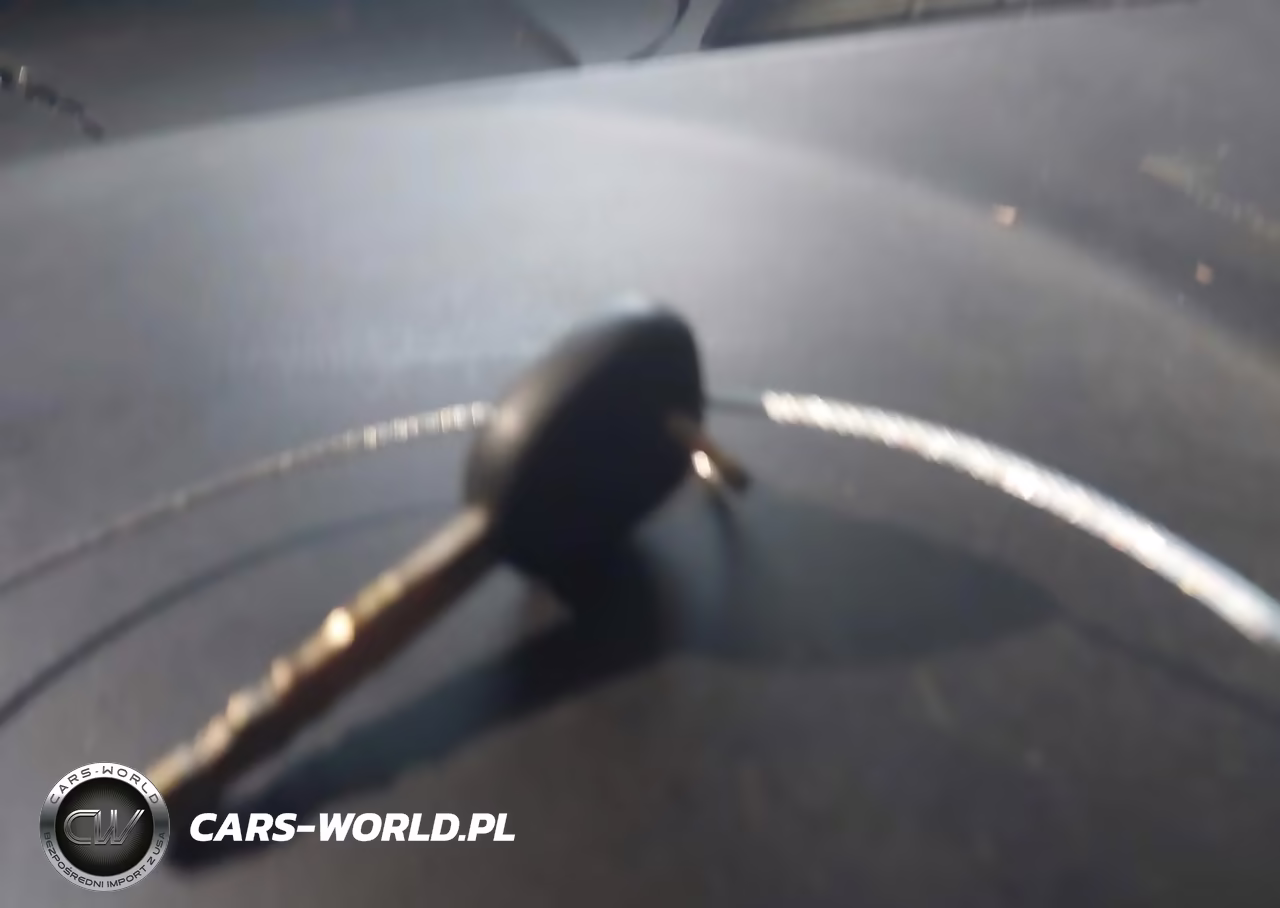 2009 Chevrolet Impala Police VIN:2G1WS57M991286760 - 11
