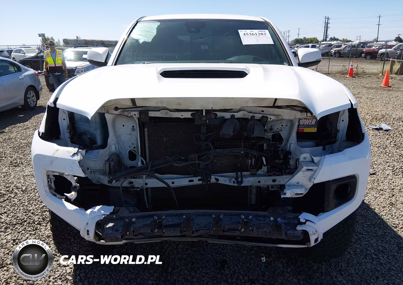 2019 Toyota Tacoma Trd Sport VIN:3TMCZ5AN1KM220208 - 6