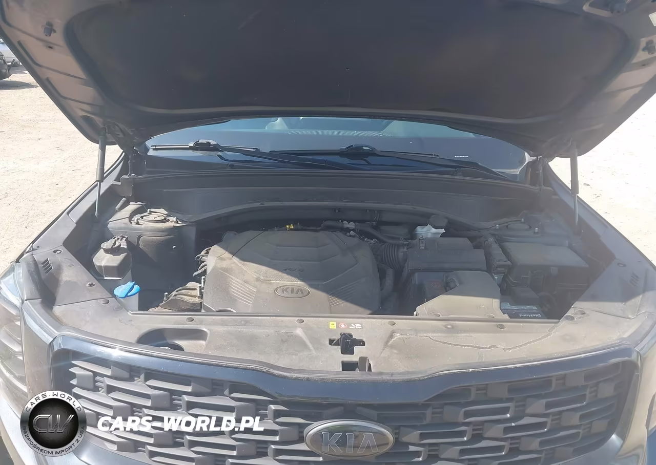 2021 Kia Telluride Ex VIN:5XYP3DHC3MG101996 - 10