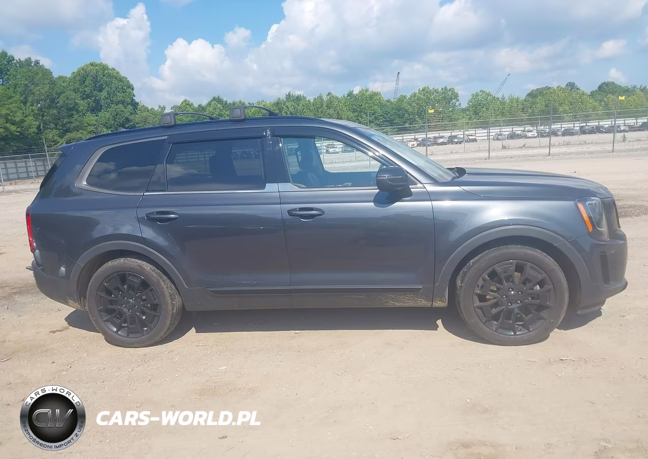 2021 Kia Telluride Ex VIN:5XYP3DHC3MG101996 - 13