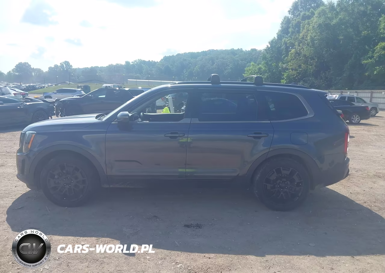 2021 Kia Telluride Ex VIN:5XYP3DHC3MG101996 - 14
