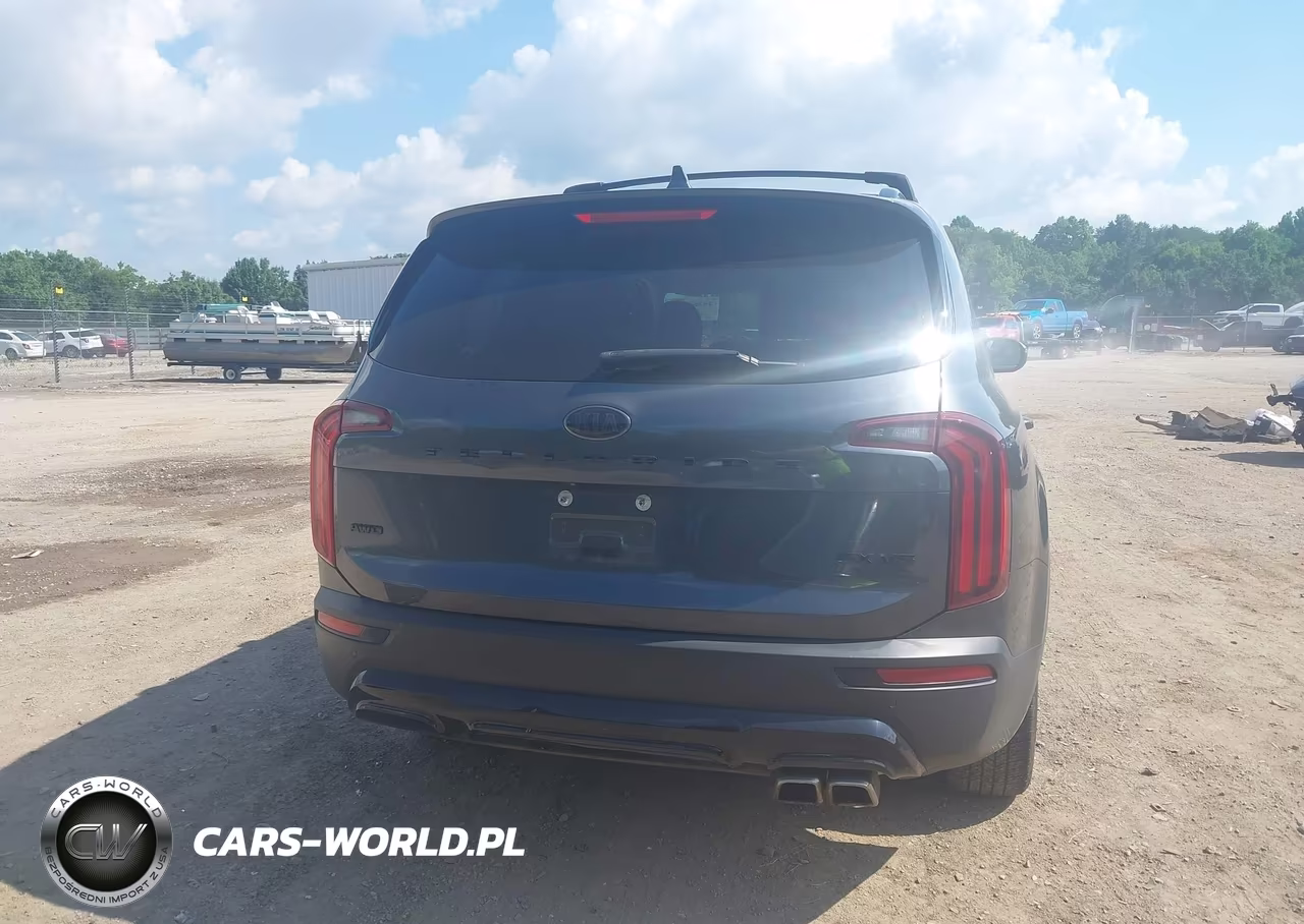 2021 Kia Telluride Ex VIN:5XYP3DHC3MG101996 - 16