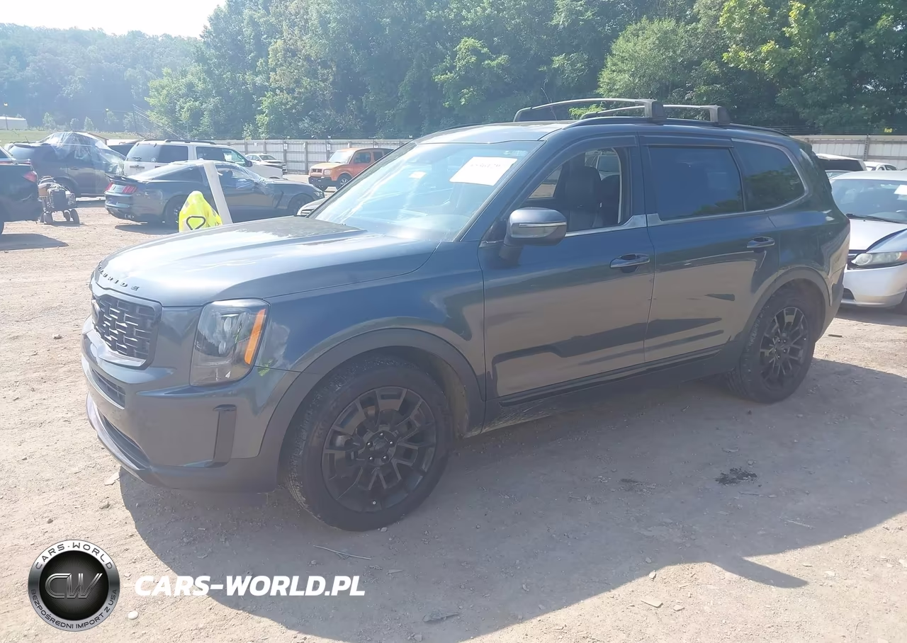 2021 Kia Telluride Ex VIN:5XYP3DHC3MG101996 - 2