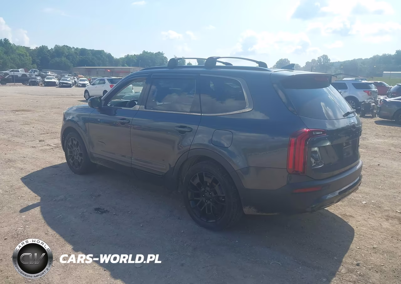 2021 Kia Telluride Ex VIN:5XYP3DHC3MG101996 - 3