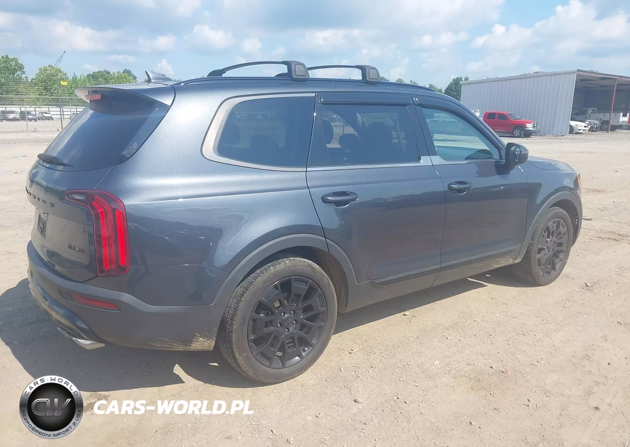 2021 Kia Telluride Ex VIN:5XYP3DHC3MG101996 - 4