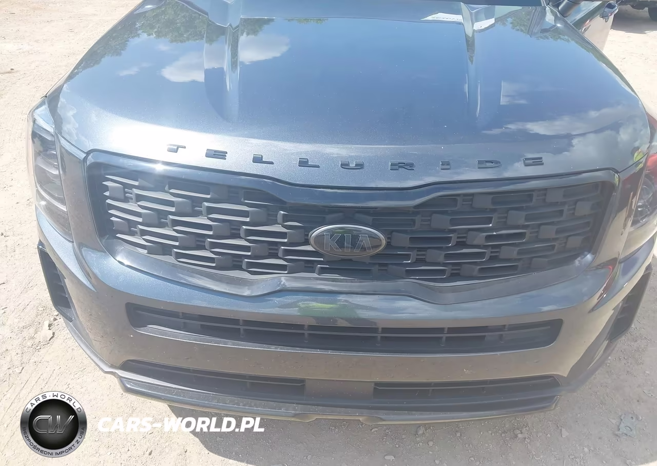 2021 Kia Telluride Ex VIN:5XYP3DHC3MG101996 - 6