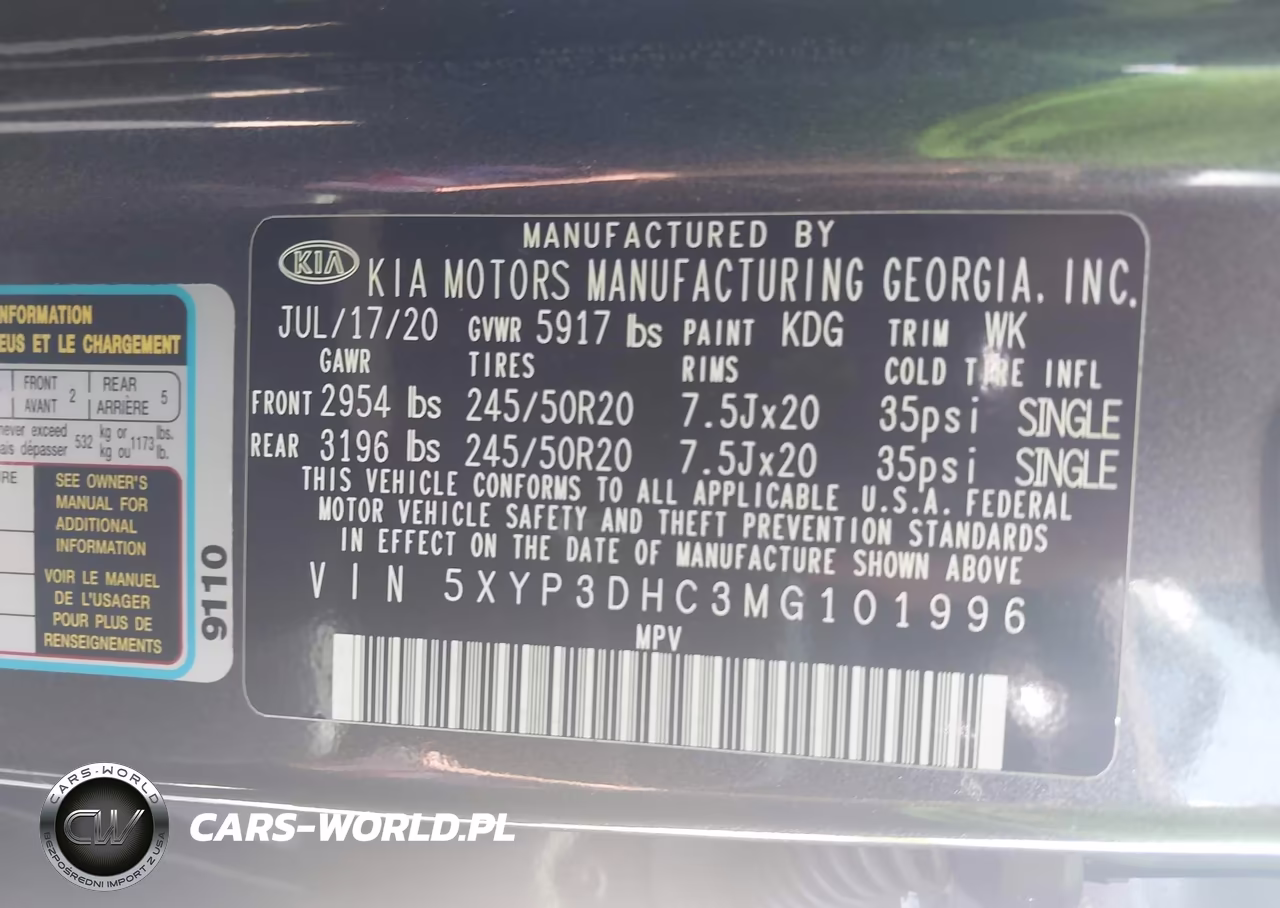 2021 Kia Telluride Ex VIN:5XYP3DHC3MG101996 - 9