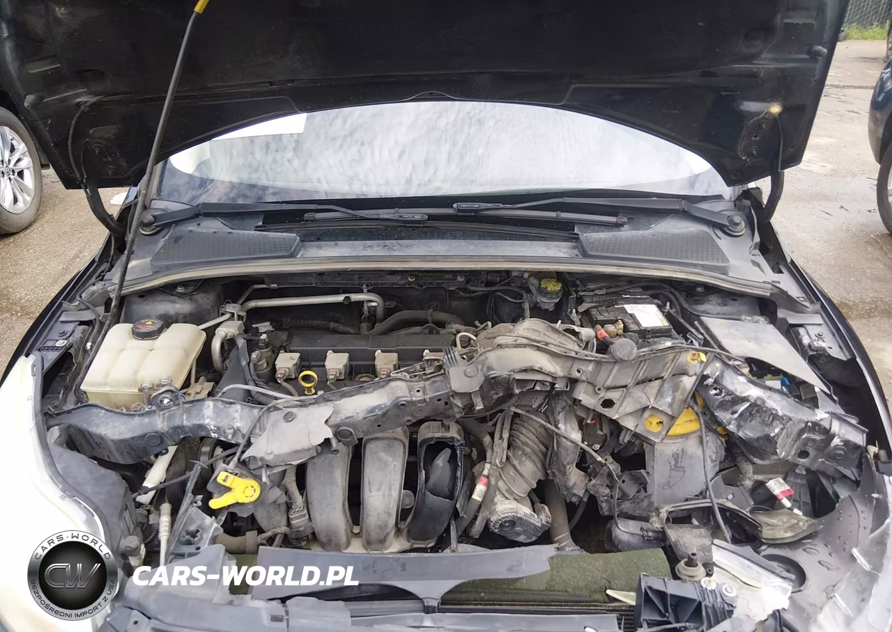2014 Ford Focus Se VIN:1FADP3F22EL449697 - 10