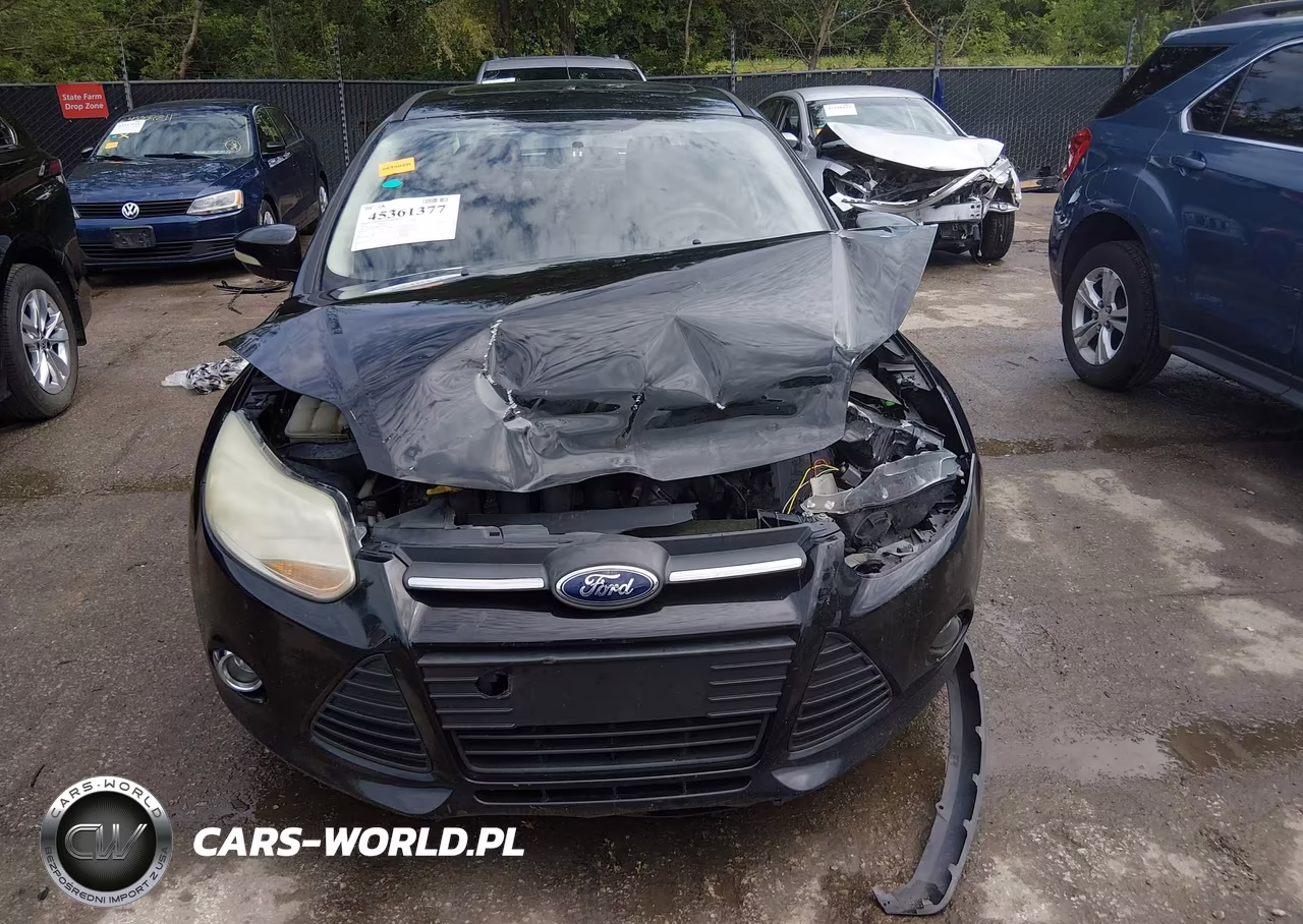 2014 Ford Focus Se VIN:1FADP3F22EL449697 - 12