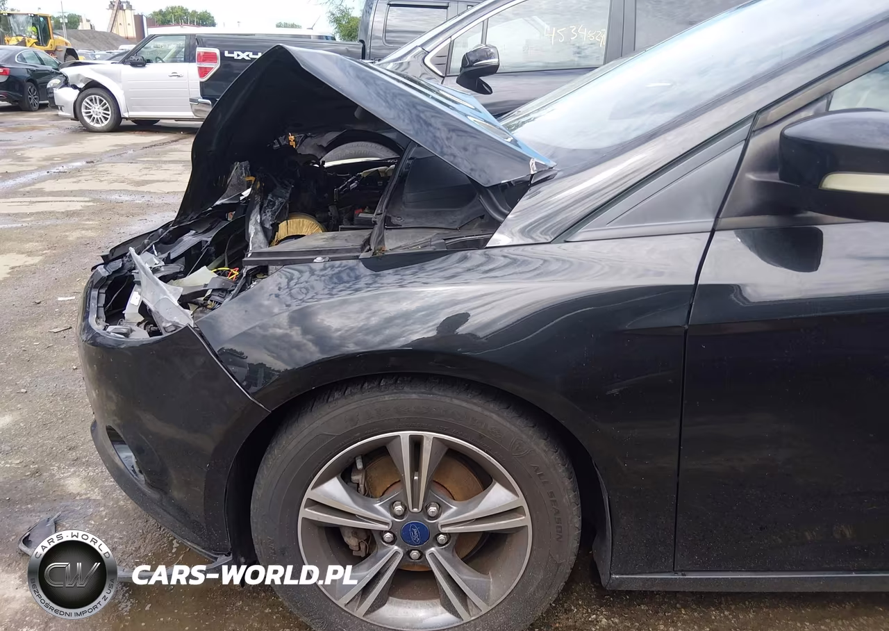 2014 Ford Focus Se VIN:1FADP3F22EL449697 - 17