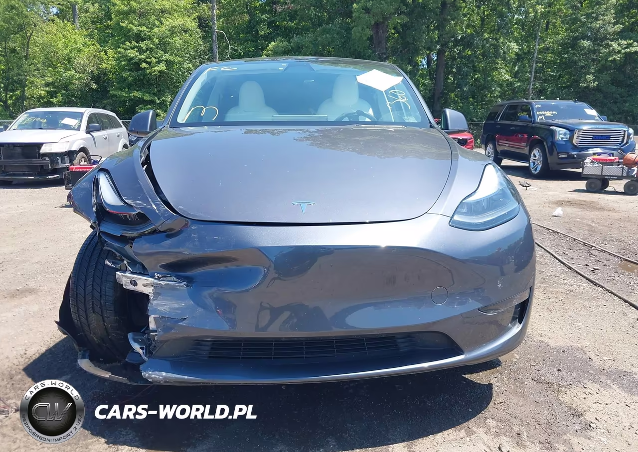 2023 Tesla Model Y Awd-Long Range Dual Motor All-Wheel Drive VIN:7SAYGDEE2PF692514 - 12