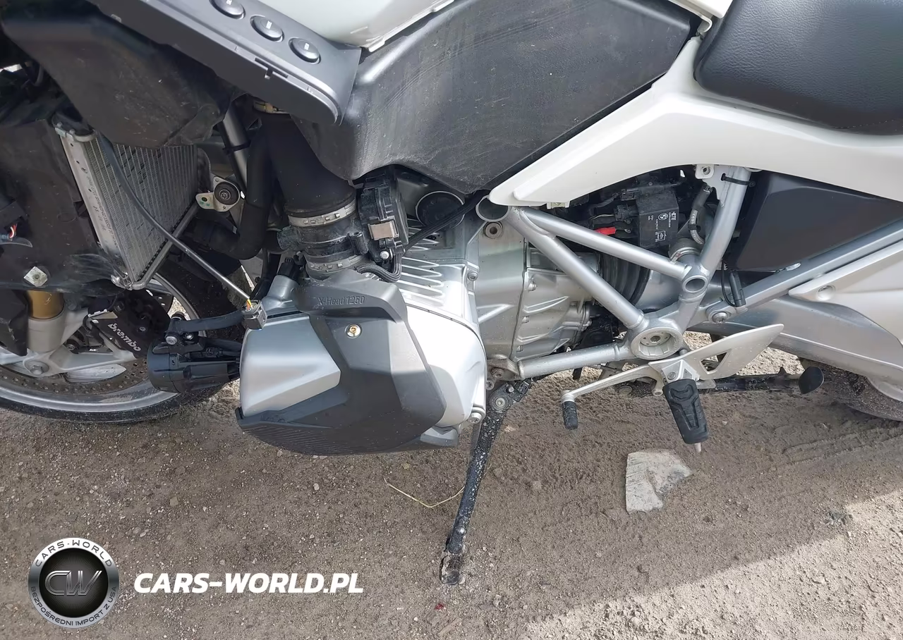 2019 BMW R 1250 Rt VIN:WB10J6305KZG33779 - 9