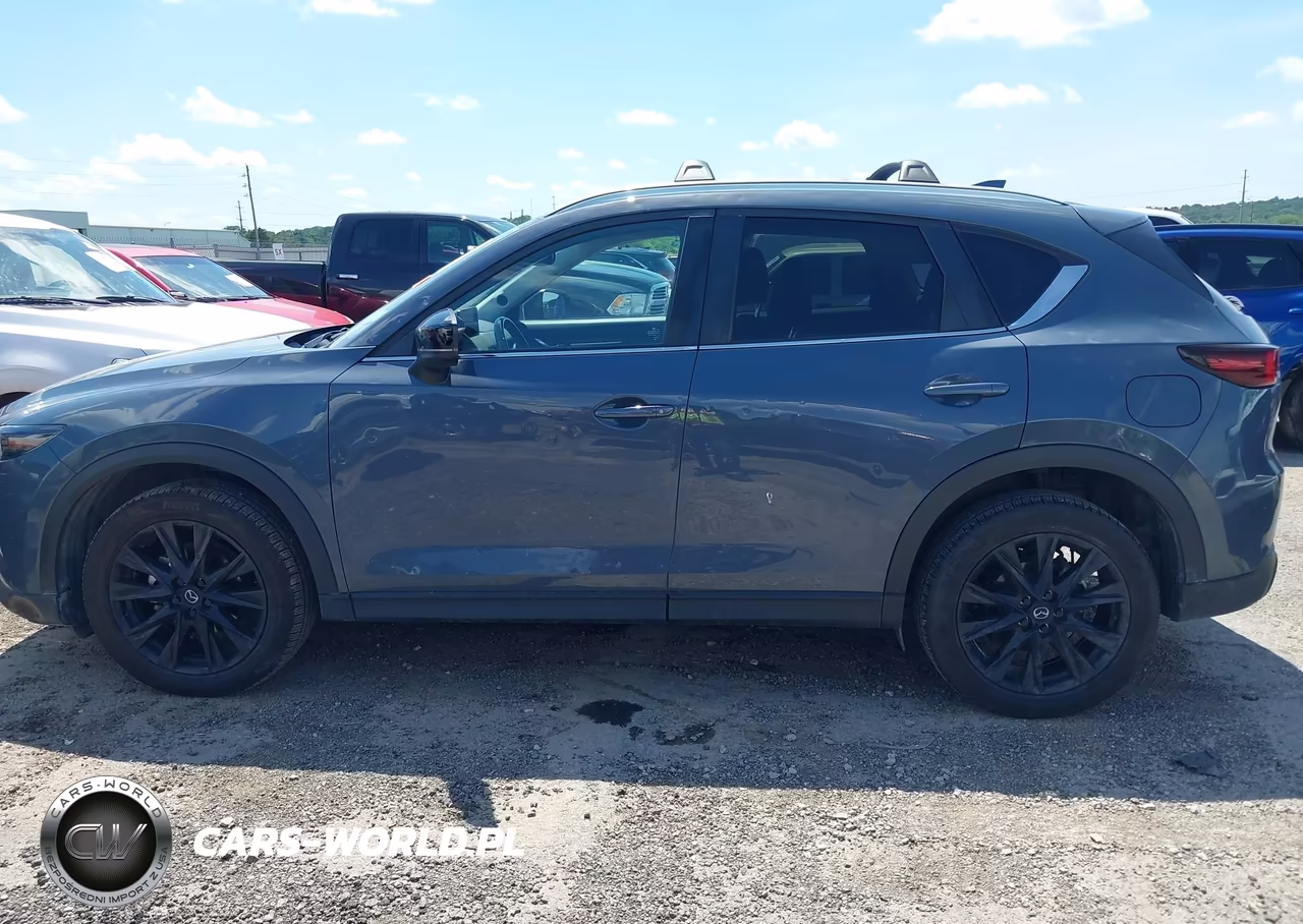 2023 Mazda Cx-5 2.5 S Carbon Edition VIN:JM3KFBCM3P0275820 - 14