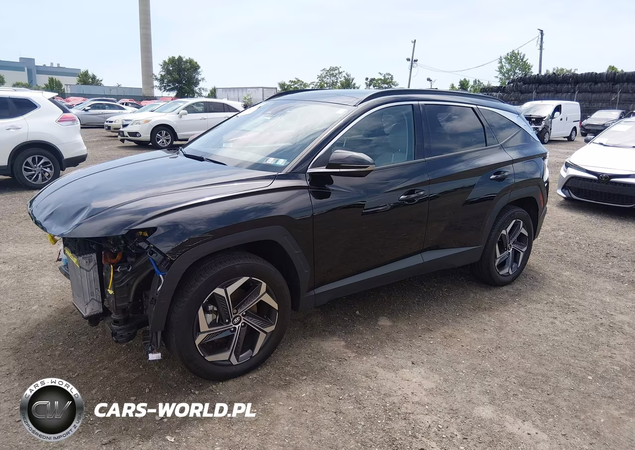 2024 Hyundai Tucson Hybrid Limited VIN:KM8JECD12RU161011 - 2