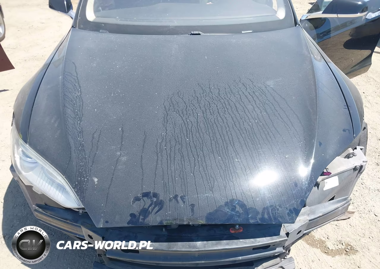 2013 Tesla Model S VIN:5YJSA1CN9DFP27745 - 10